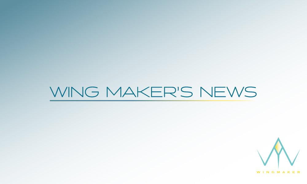 商標を取得しました - 合理的で正しい選択とは何なのか？